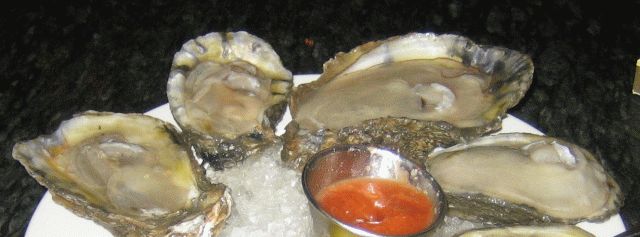 Oysters.jpg