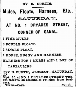 TodayInNewOrleansHistory/1892Sept7FloatsMules.gif