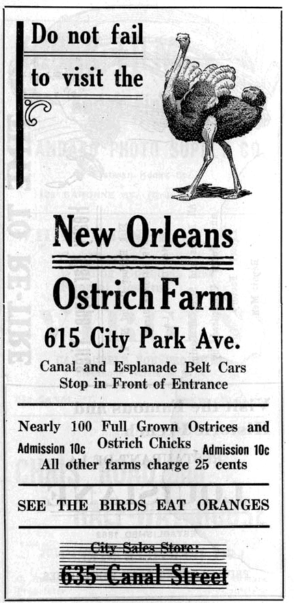 TodayInNewOrleansHistory/19170OstrichFarmAdInfrog.gif